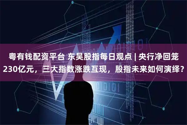 粤有钱配资平台 东吴股指每日观点 | 央行净回笼230亿元，三大指数涨跌互现，股指未来如何演绎？