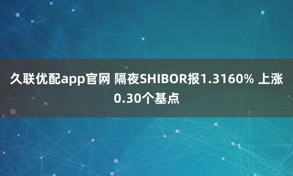 久联优配app官网 隔夜SHIBOR报1.3160% 上涨0.30个基点