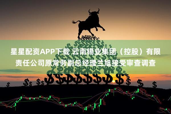 星星配资APP下载 云南锡业集团（控股）有限责任公司原常务副总经理兰旭接受审查调查
