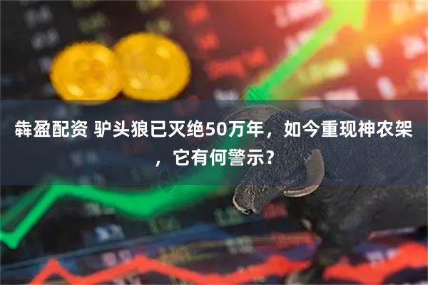 犇盈配资 驴头狼已灭绝50万年，如今重现神农架，它有何警示？